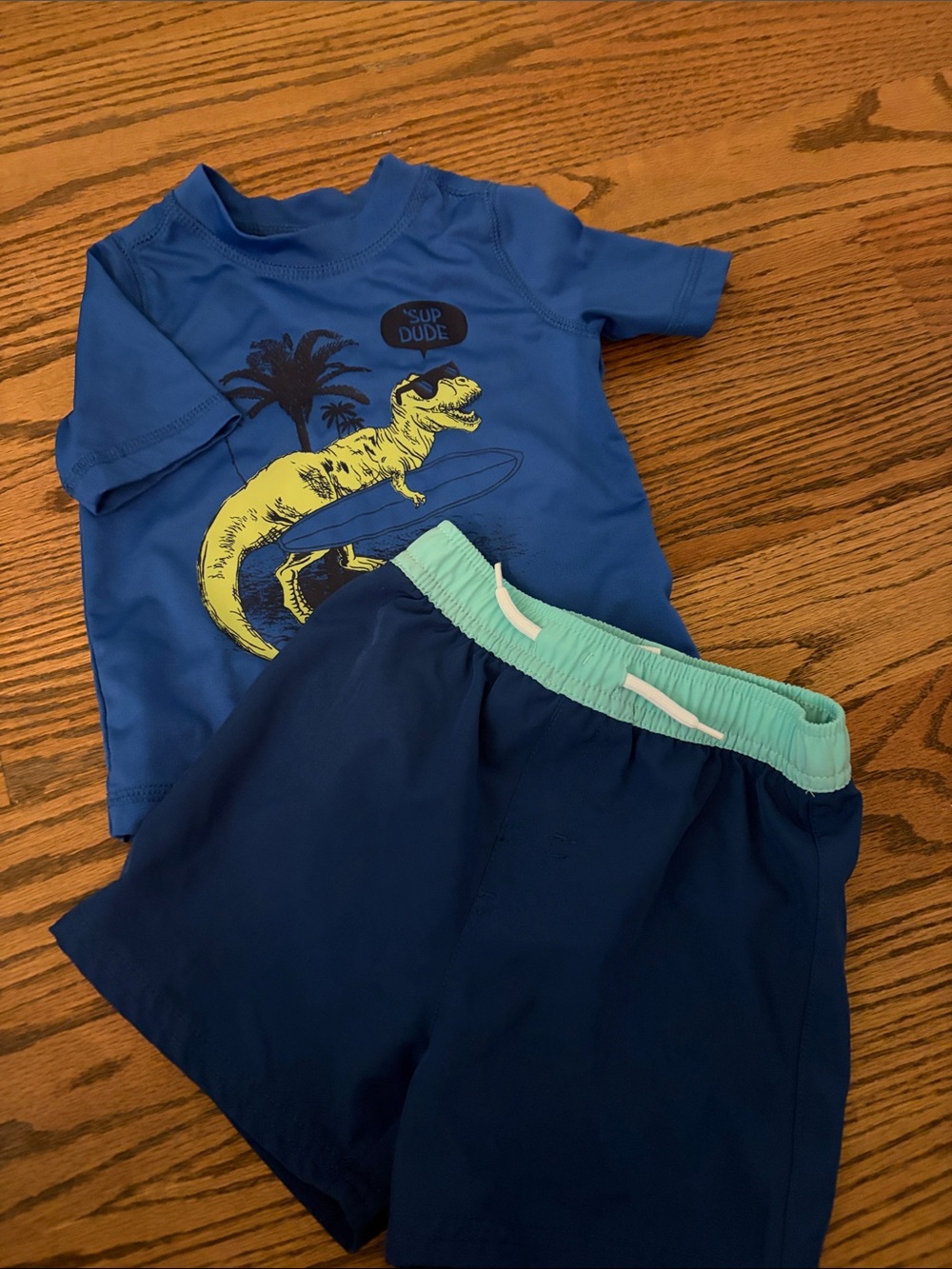 Blue Dino Surf Rash Guard Set